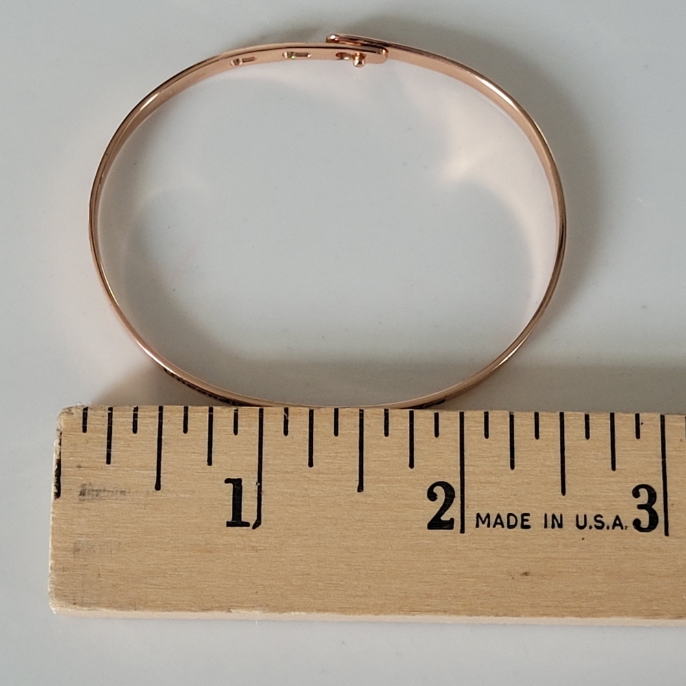 Chelsea Taylor Memory Bracelet Rose Goldplated Unconditional love...my dog - Picture 9 of 14